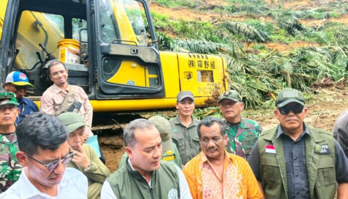 Tanaman Ilegal Yang Dieksekusi Satgas PKH di Kawasan Hutan TNGL Belum Direstorasi