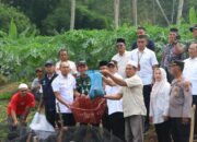 Gerakan 1.000 Kolam Hantar Tapsel Terbaik Se-Indonesia, Pokdakan Berkah Panen Ikan