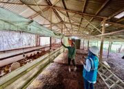 Modernisasi Sektor Industri Primer, Lebih 390 Ribu Pelanggan Manfaatkan Program EA Dan EM PLN