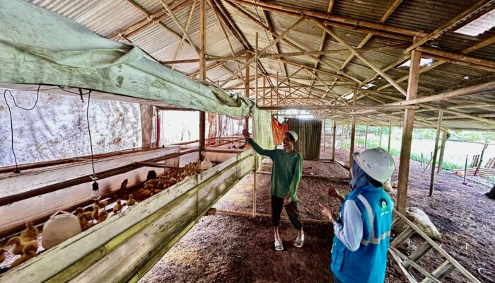 Modernisasi Sektor Industri Primer, Lebih 390 Ribu Pelanggan Manfaatkan Program EA Dan EM PLN