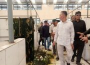 Perencanaan Tak Matang, Miliaran Rupiah Uang Negara Menguap Di Pasar Manggeng Abdya 