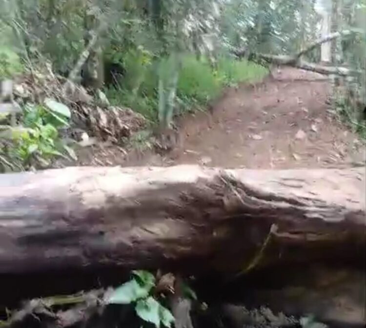 Pembukaan Jalan Tambak Padang Bolak Disorot, Anggaran DD TA 2025 Cukup untuk 500 Meter