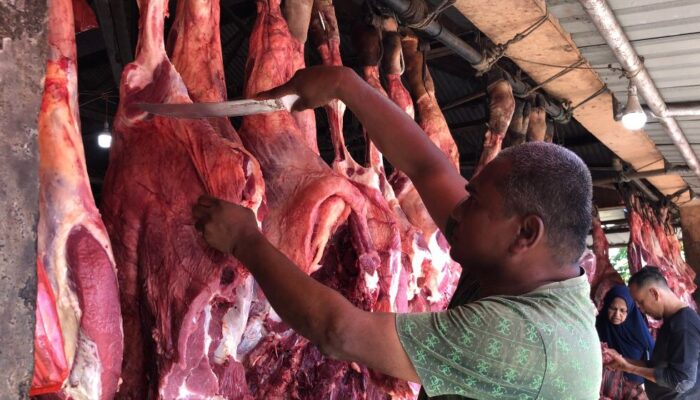 Bantuan Meugang Presiden Untuk Aceh Wajib Berbentuk Daging