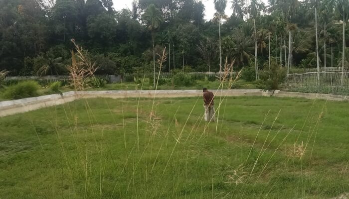 Kolam BBI Dinas Perikanan Agara Memprihatinkan