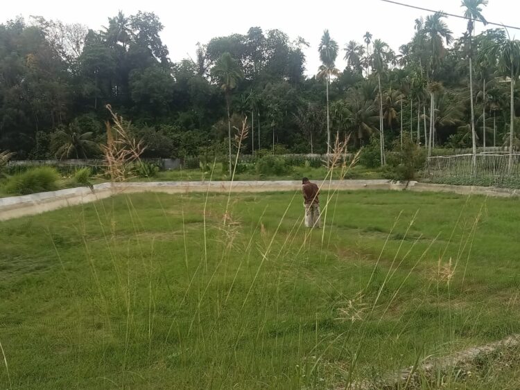 Kolam BBI Dinas Perikanan Agara Memprihatinkan