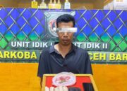 Undercover Buy Berhasil, 73 Gram Ganja Diamankan Satresnarkoba Polres Abdya