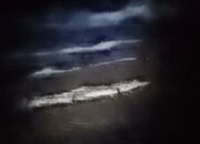 Warga Geger, Anak Buaya Muncul di Bibir Pantai Padang Kawa Abdya