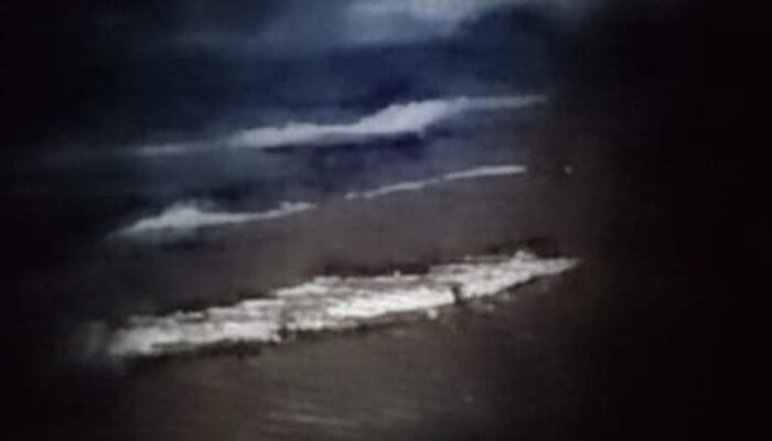 Warga Geger, Anak Buaya Muncul di Bibir Pantai Padang Kawa Abdya