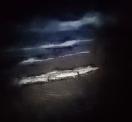 Warga Geger, Anak Buaya Muncul di Bibir Pantai Padang Kawa Abdya