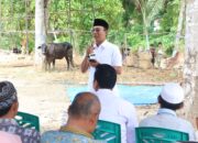 Sambut Puasa Ramadhan, Bupati Tapsel Bagikan 25 Ekor Sapi Untuk Korban Bencana