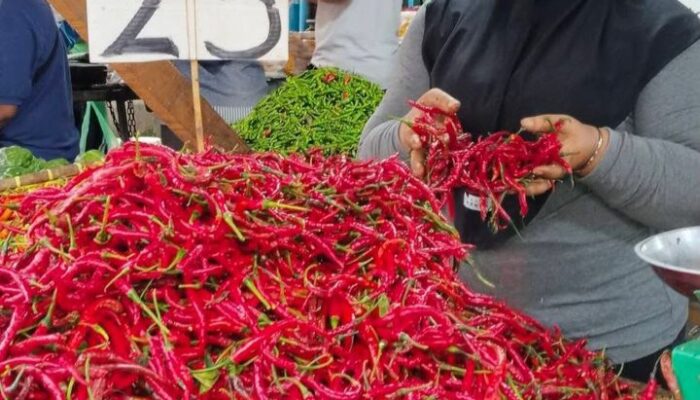 Belanja Masyarakat Kembali Turun, Harga Cabai Berjatuhan