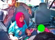 Warga Bener Meriah Tewas Diamuk Gajah Liar Saat di Kebun