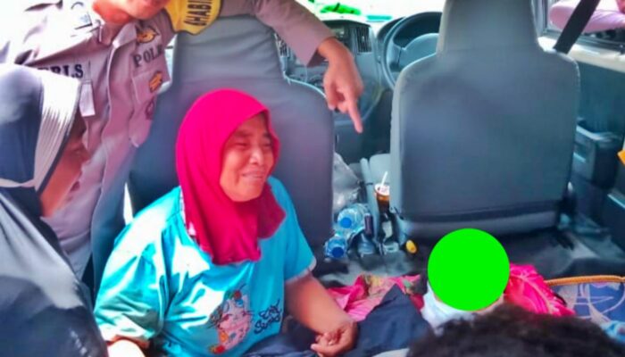 Warga Bener Meriah Tewas Diamuk Gajah Liar Saat di Kebun