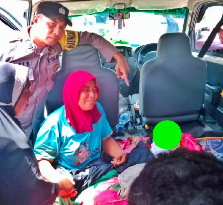 Warga Bener Meriah Tewas Diamuk Gajah Liar Saat di Kebun