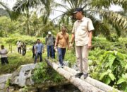 Pemkab Madina Segera Normalisasi Sungai di Simangambat