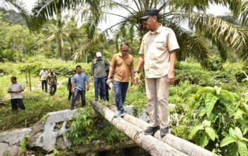 Pemkab Madina Segera Normalisasi Sungai di Simangambat