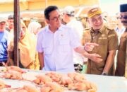 Mendag RI Pantau Harga di Pidie, Cukupkah?