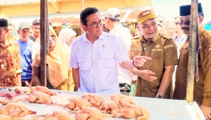 Mendag RI Pantau Harga di Pidie, Cukupkah?