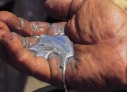 Soal Merkuri dan Sianida, Dukungan Mengalir Ke Satma Ampi Mengalir, Kapolda Sumut Diminta Tegas