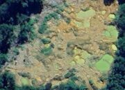 Hutan TNBG Diobok-obok PETI Pasaman Barat