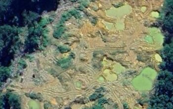 Hutan TNBG Diobok-obok PETI Pasaman Barat