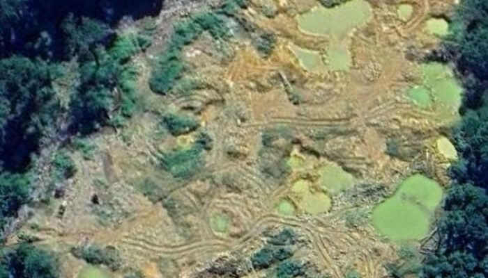 Hutan TNBG Diobok-obok PETI Pasaman Barat