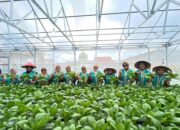 Perempuan Tangguh Penjaga Iklim di Air Jamban: Olah Lahan Gersang Jadi Ladang Cuan