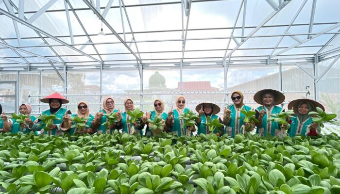 Perempuan Tangguh Penjaga Iklim di Air Jamban: Olah Lahan Gersang Jadi Ladang Cuan