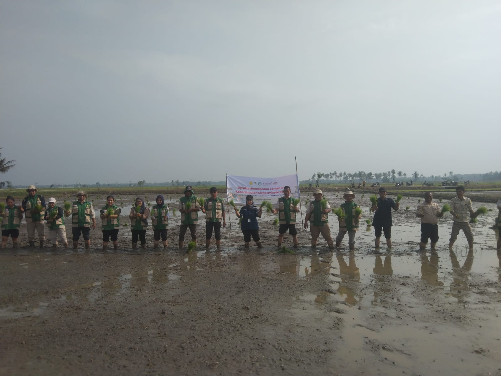 Swasembada Pangan, Kabupaten Batubara Kejar Percepatan Luas Tambah Tanam