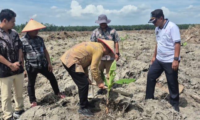 Lapas Labuhanruku Tanam 500 Bibit Pisang, Perkuat Ketahanan Pangan Dan Kemandirian WBP