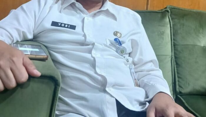 Pemprovsu Akan Intervensi Harga Daging Ayam