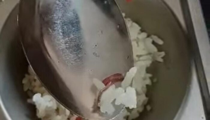 Temuan Cacing dan Ulat di MBG SMKN 1 Sei Rampah, SPPG Akui Lalai