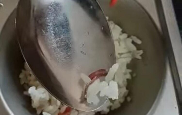 Temuan Cacing dan Ulat di MBG SMKN 1 Sei Rampah, SPPG Akui Lalai