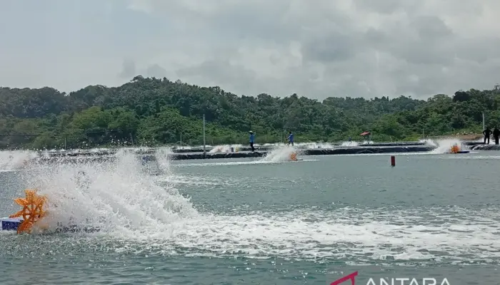 Ketahanan pangan tumbuh dari tangan warga binaan Nusakambangan