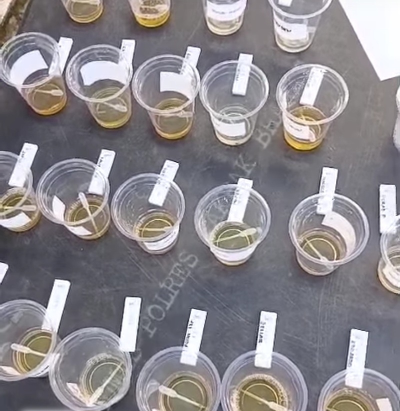 Hasil Tes Urine Personel Polres Pakpak Bharat Semua Negatif