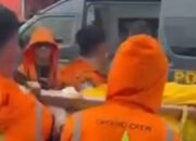 2 Pilot Pesawat Smart Air Tewas Ditembak KKB di Papua, 13 Penumpang Aman