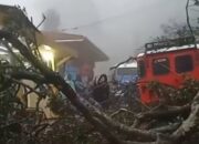 Tidak Ada Korban Jiwa, 7 Motor Wisata Tertimbun Longsor di Area Bukit Kedaluh Bromo