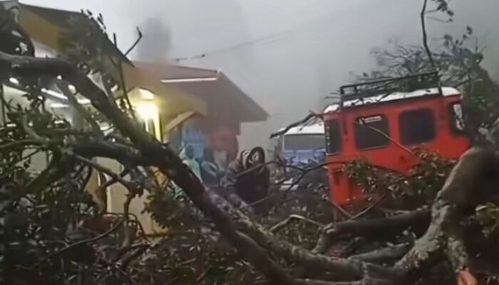 Tidak Ada Korban Jiwa, 7 Motor Wisata Tertimbun Longsor di Area Bukit Kedaluh Bromo