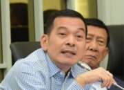 Gajah Sumatera Mati Tanpa Kepala, Anggota Komisi IV DPR RI Minta Diusut Tuntas