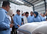 Stok Beras Nasional Aman, Khususnya Jelang Momentum Ramadan Dan Idulfitri