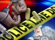 Polresta DS Gagalkan Pengiriman 21 Kg Sabu Asal Aceh, Dua Kurir Ditangkap