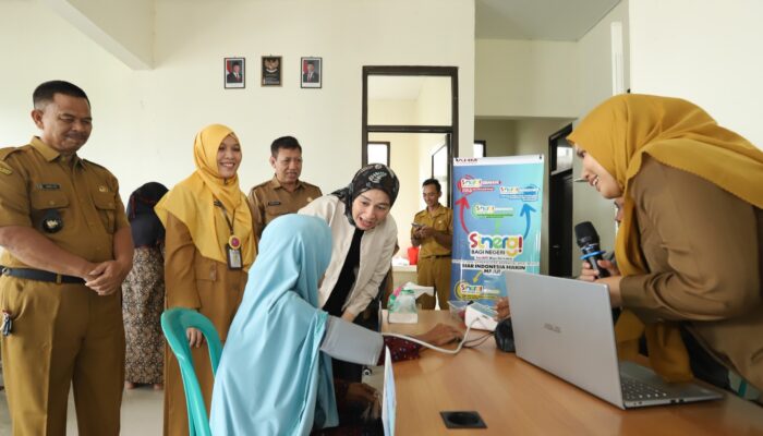 AHM Perkuat Peran Kader Kesehatan Desa