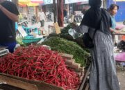 Harga Pangan Stabil Selama Idulfitri, Diproyeksikan Tetap Terkendali Sepekan Ke Depan