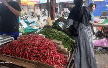 Harga Pangan Stabil Selama Idulfitri, Diproyeksikan Tetap Terkendali Sepekan Ke Depan