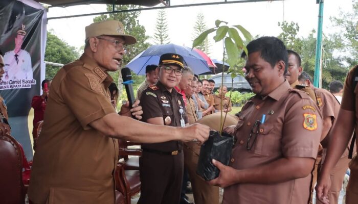 Pemkab Dairi Bagikan Bibit, Sudah Tanam 101 Ribu Pohon Dalam 8 Bulan