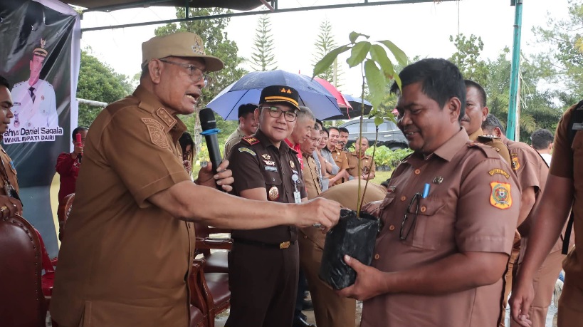 Pemkab Dairi Bagikan Bibit, Sudah Tanam 101 Ribu Pohon Dalam 8 Bulan