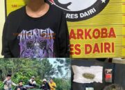 Polres Dairi Ringkus Pengedar Ganja Saat Transaksi Di Tigalingga