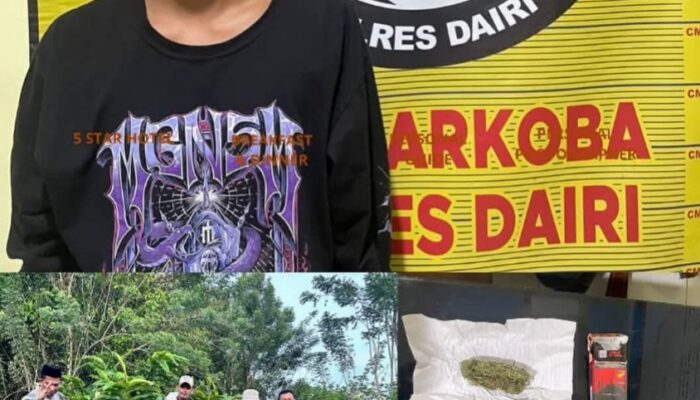 Polres Dairi Ringkus Pengedar Ganja Saat Transaksi Di Tigalingga