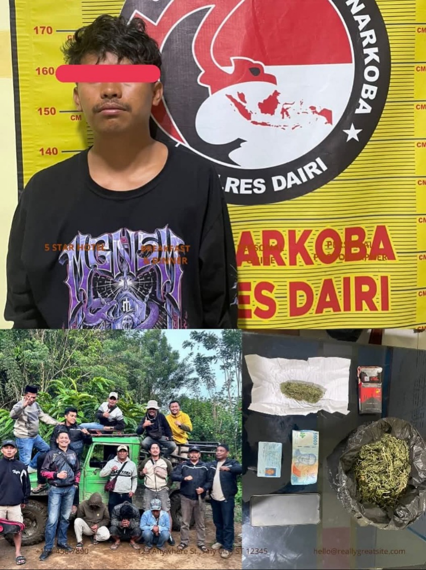 Polres Dairi Ringkus Pengedar Ganja Saat Transaksi Di Tigalingga