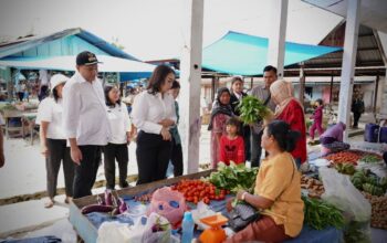 Bupati Pakpak Bharat Cek Ketersediaan Bahan Pokok Di Pasar Singgabur